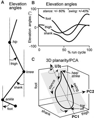 Use of planar covariation in lower limb kinematics to characterize adaptations of running after cycling in elite triathletes